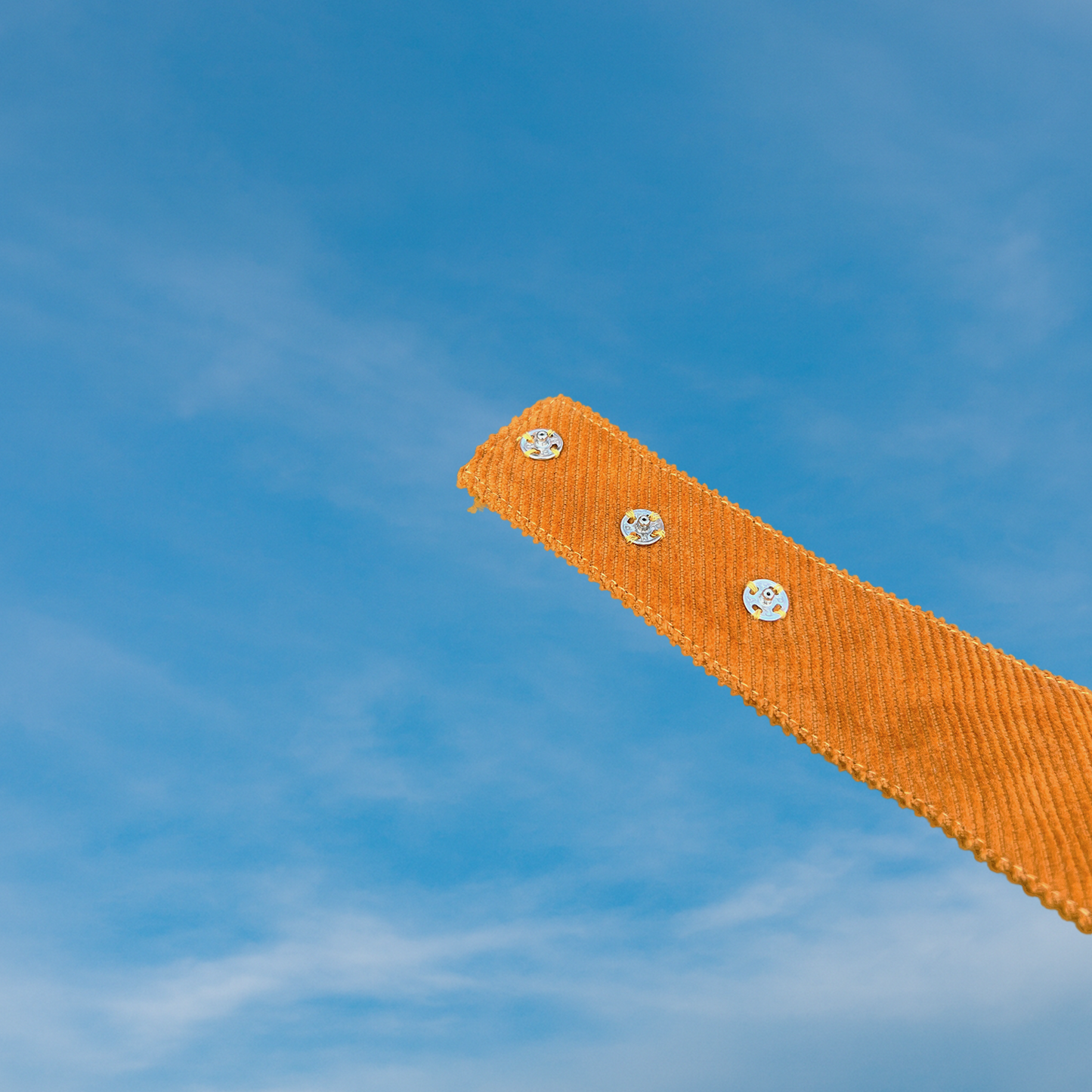 Koerte bandana kukeseen