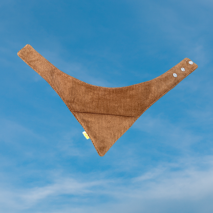 Koerte bandana saarmas