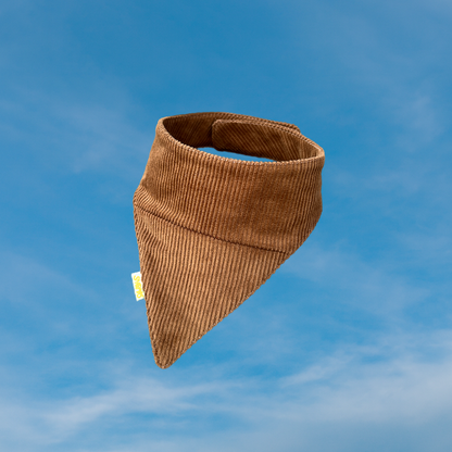 Koerte bandana saarmas