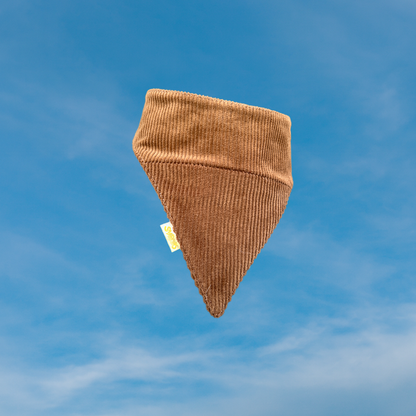 Koerte bandana saarmas