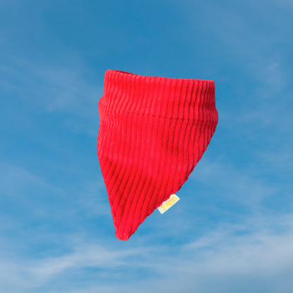 Koerte bandana tšilli