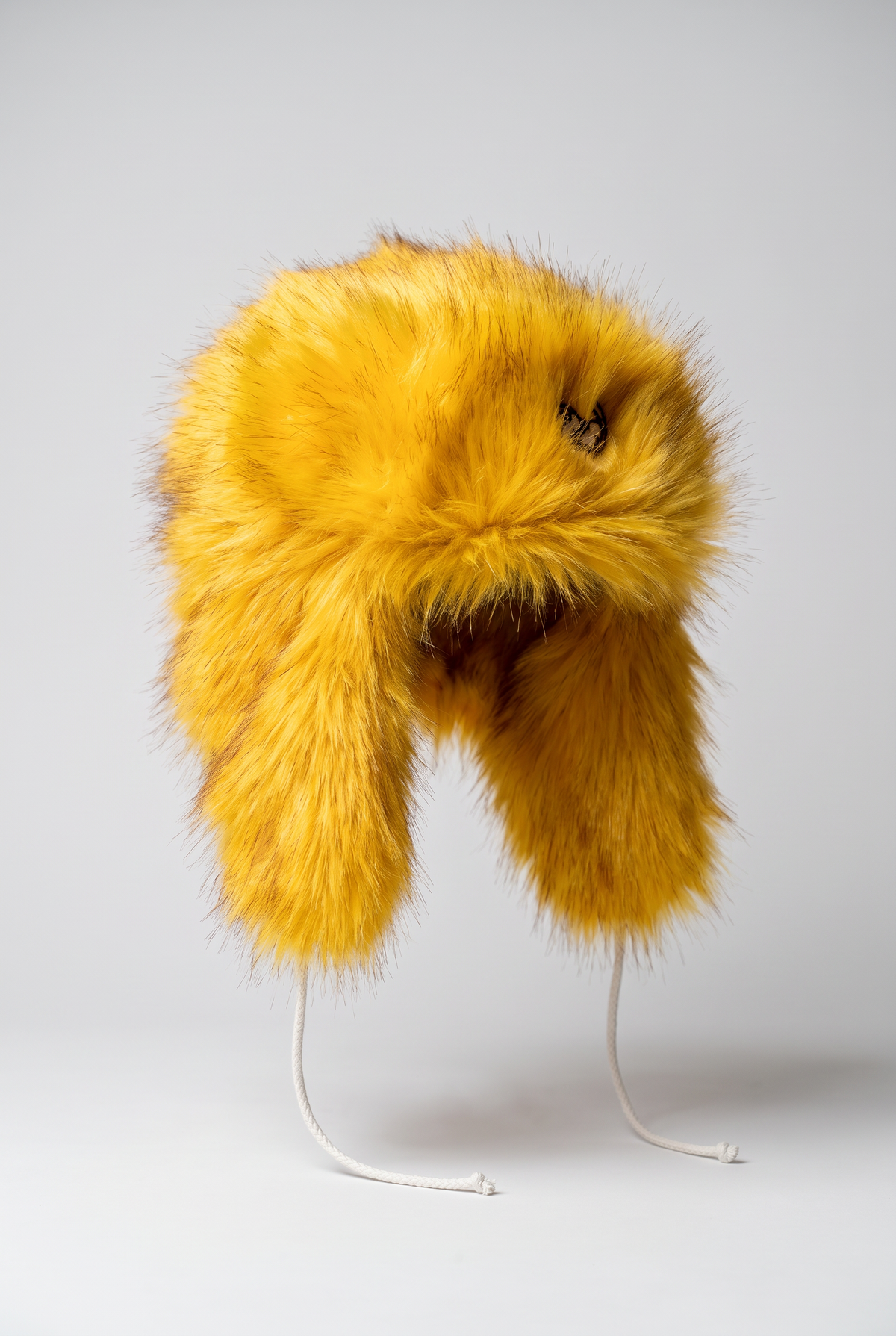 Yellowhammer